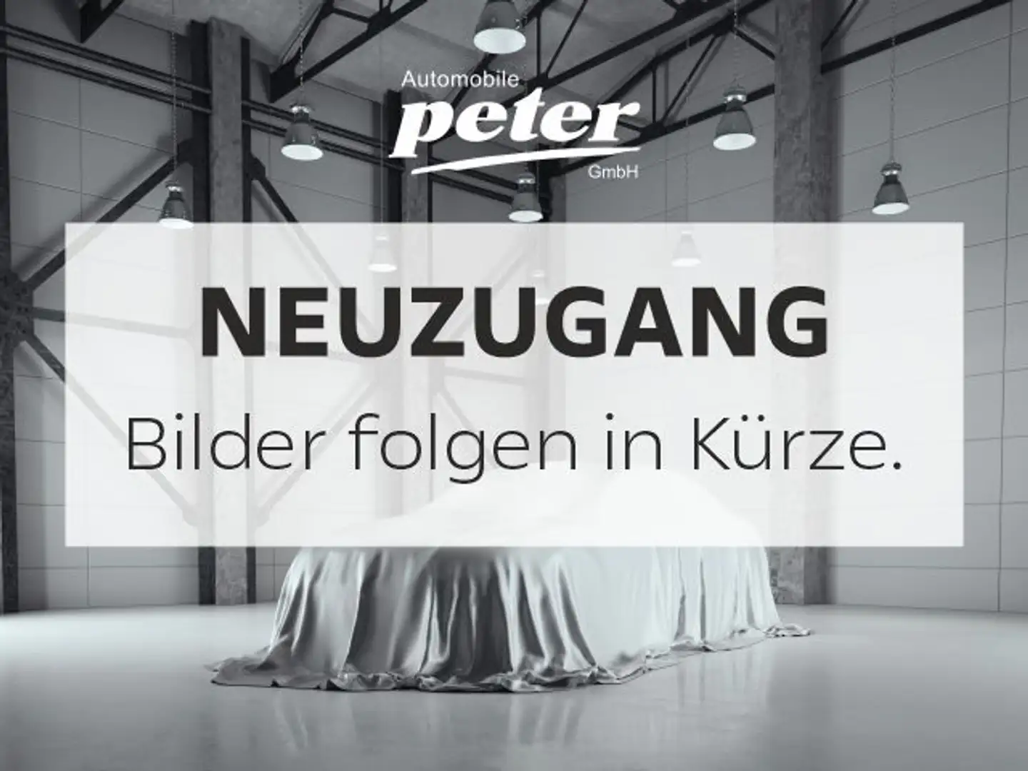 Peugeot 208 208 Allure 100 +360° Kamera+Navi+SHZ+LED+ Gris - 1