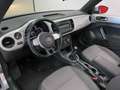 Volkswagen Maggiolino CABRIO 1.6 TDI DESIGN 105CV Argento - thumbnail 7