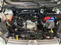 Ford EcoSport 1.0 EcoBoost Titanium 17Inch L.M. velgen, cruise c Wit - thumbnail 25