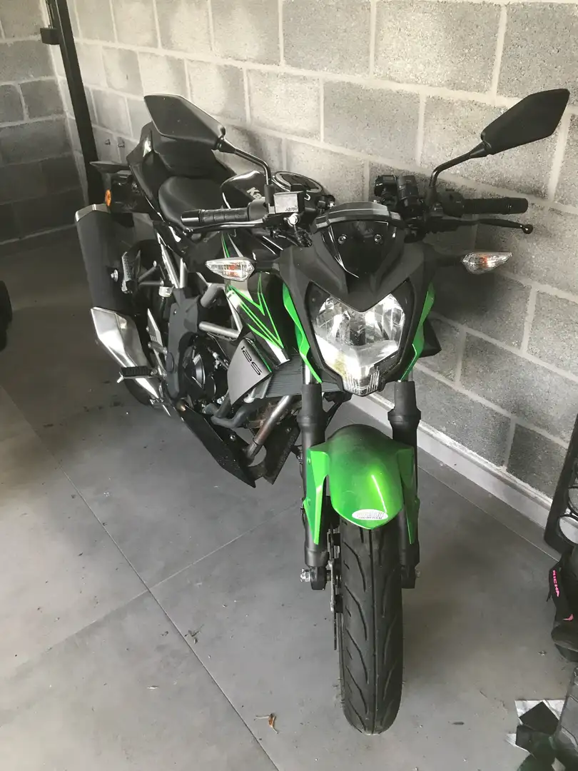 Kawasaki Z 125 - 1
