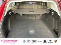 Ford Focus Turnier 1.5 Tita.- HUD StandHZG El. Panodach Navi Rot - thumbnail 7