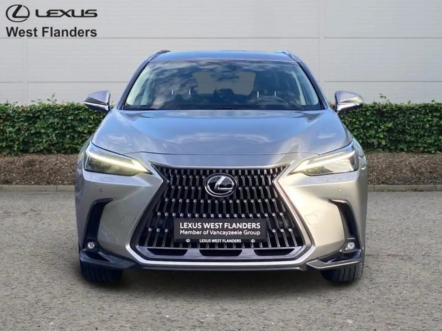 Lexus NX 450h+ Privilege Line+360°cam+nav+sen Goud - 2