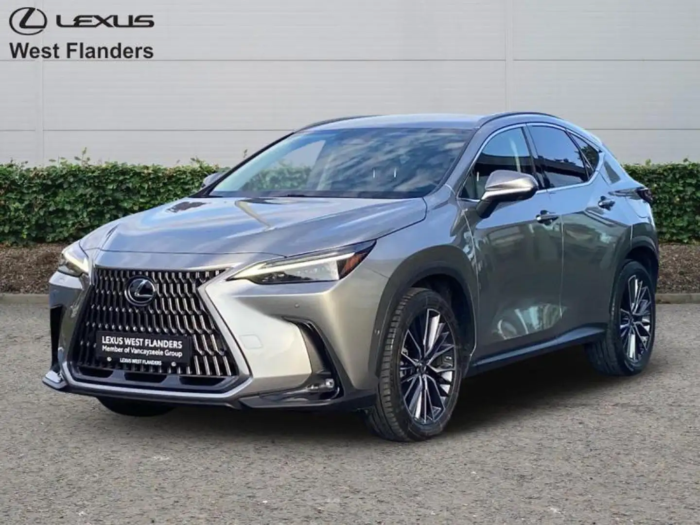 Lexus NX 450h+ Privilege Line+360°cam+nav+sen Goud - 1