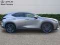 Lexus NX 450h+ Privilege Line+360°cam+nav+sen Goud - thumbnail 3