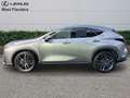 Lexus NX 450h+ Privilege Line+360°cam+nav+sen Goud - thumbnail 5