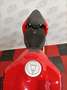 Ducati Streetfighter Rouge - thumbnail 4