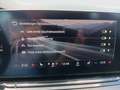 Skoda Octavia RS TDI DSG Grau - thumbnail 19