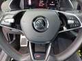 Skoda Octavia RS TDI DSG Grau - thumbnail 14