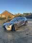 Lexus NX 300h 300h AWD Luxury Line Grey - thumbnail 2