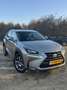 Lexus NX 300h 300h AWD Luxury Line Grey - thumbnail 1