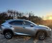 Lexus NX 300h 300h AWD Luxury Line Gris - thumbnail 20