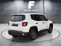 Jeep Renegade 1.0 Limited 4x2 Weiß - thumbnail 11
