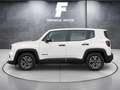 Jeep Renegade 1.0 Limited 4x2 Blanc - thumbnail 14
