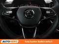 Skoda Scala 1.5 TSI ACT Monte Carlo Blau - thumbnail 19