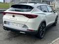 CUPRA Formentor 2.0 TSI 310 VZ DSG 4Drive Weiß - thumbnail 4
