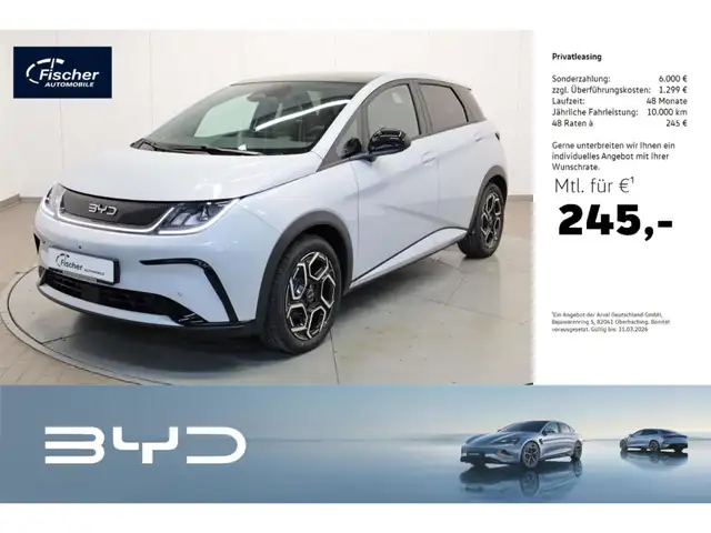 BYD Dolphin Elektro Design