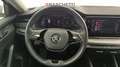 Skoda Octavia WAGON 2.0 TDI EVO EXECUTIVE DSG Bianco - thumbnail 18