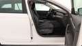 Skoda Octavia WAGON 2.0 TDI EVO EXECUTIVE DSG Bianco - thumbnail 24