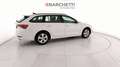 Skoda Octavia WAGON 2.0 TDI EVO EXECUTIVE DSG Bianco - thumbnail 6