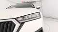 Skoda Octavia WAGON 2.0 TDI EVO EXECUTIVE DSG Bianco - thumbnail 7