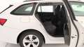 Skoda Octavia WAGON 2.0 TDI EVO EXECUTIVE DSG Bianco - thumbnail 23