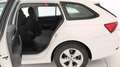 Skoda Octavia WAGON 2.0 TDI EVO EXECUTIVE DSG Bianco - thumbnail 16