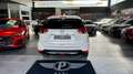Nissan X-Trail 1.6 dCi 130CV 2WD Business Bianco - thumbnail 4