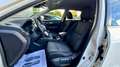 Nissan X-Trail 1.6 dCi 130CV 2WD Business Bianco - thumbnail 10