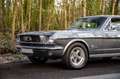 Ford Mustang 289 Coupé 302cu V8 MANUEEL 4spd Roestvrij Gris - thumbnail 4