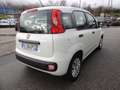 Fiat Panda 1.2 easypower Easy Gpl 69cv E6 Weiß - thumbnail 5