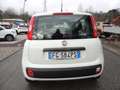 Fiat Panda 1.2 easypower Easy Gpl 69cv E6 Weiß - thumbnail 6