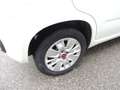Fiat Panda 1.2 easypower Easy Gpl 69cv E6 Weiß - thumbnail 4