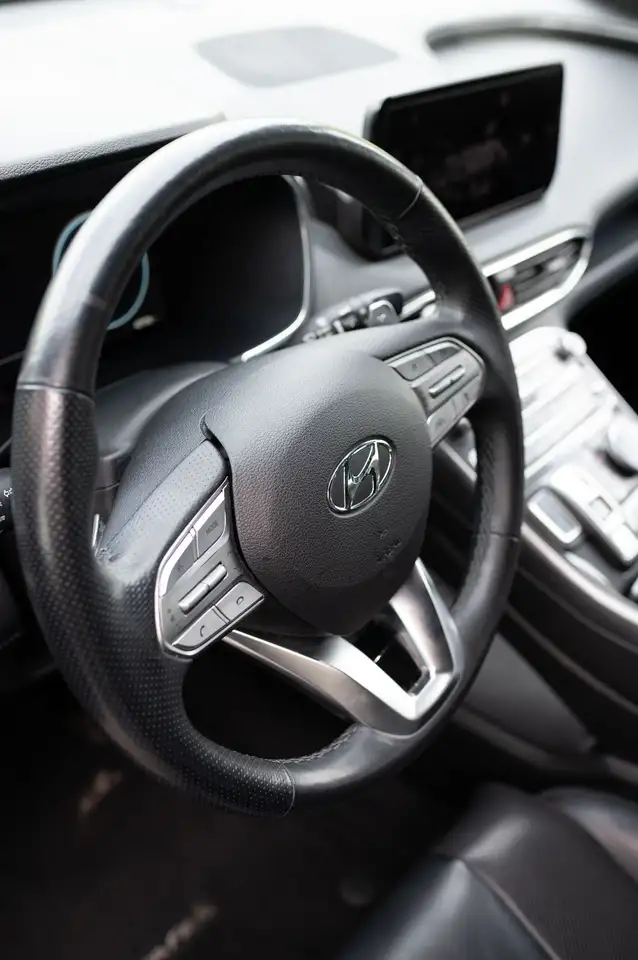 Hyundai SANTA FE fotografie Hyundai SANTA FE