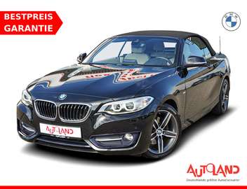 220i Sport Line Tempomat Sitzheizung Leder PDC