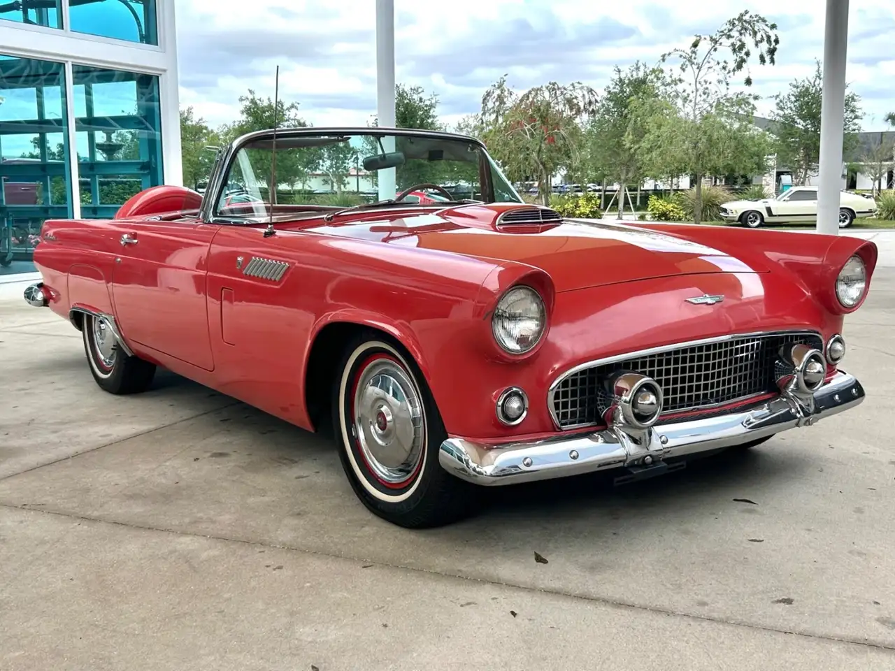 Ford Thunderbird Base, foto 3