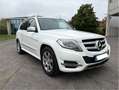 Mercedes-Benz GLK 250 GLK 250 CDI BlueTec 4Matic Alcantra SUV Blanc - thumbnail 3
