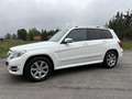 Mercedes-Benz GLK 250 GLK 250 CDI BlueTec 4Matic Alcantra SUV Blanc - thumbnail 7
