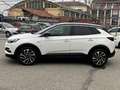 Opel Grandland X Grandland X 1.5 ecotec Ultimate Bianco - thumbnail 5