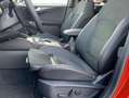 Ford Kuga ST-Line X 2.5 Duratec PHEV 165kW Auto Rojo - thumbnail 9