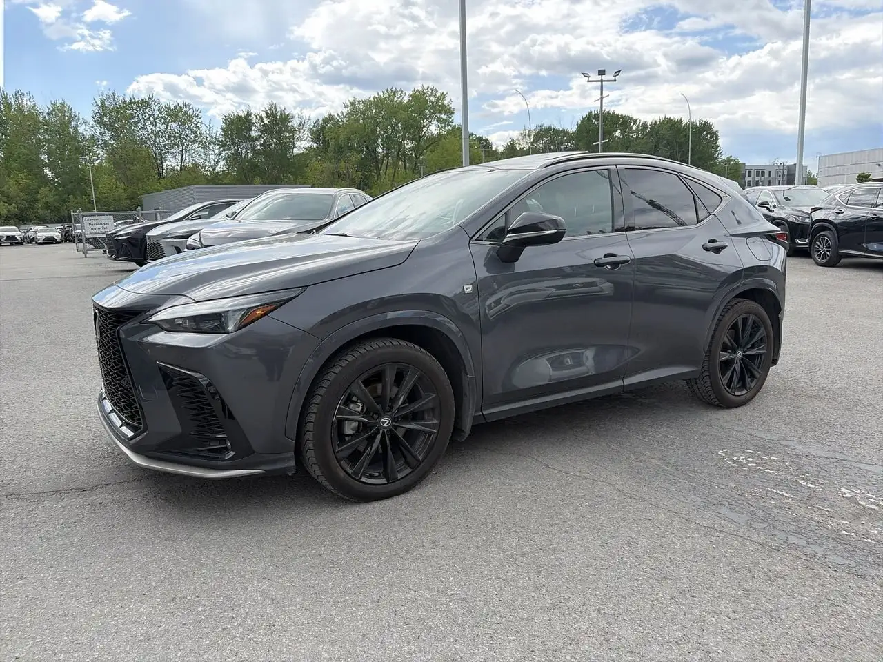 Lexus NX fotografie Lexus NX