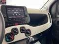 Fiat Panda Panda 1.0 FireFly S&S Hybrid Pandina Grün - thumbnail 18