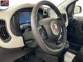 Fiat Panda Panda 1.0 FireFly S&S Hybrid Pandina Grün - thumbnail 11