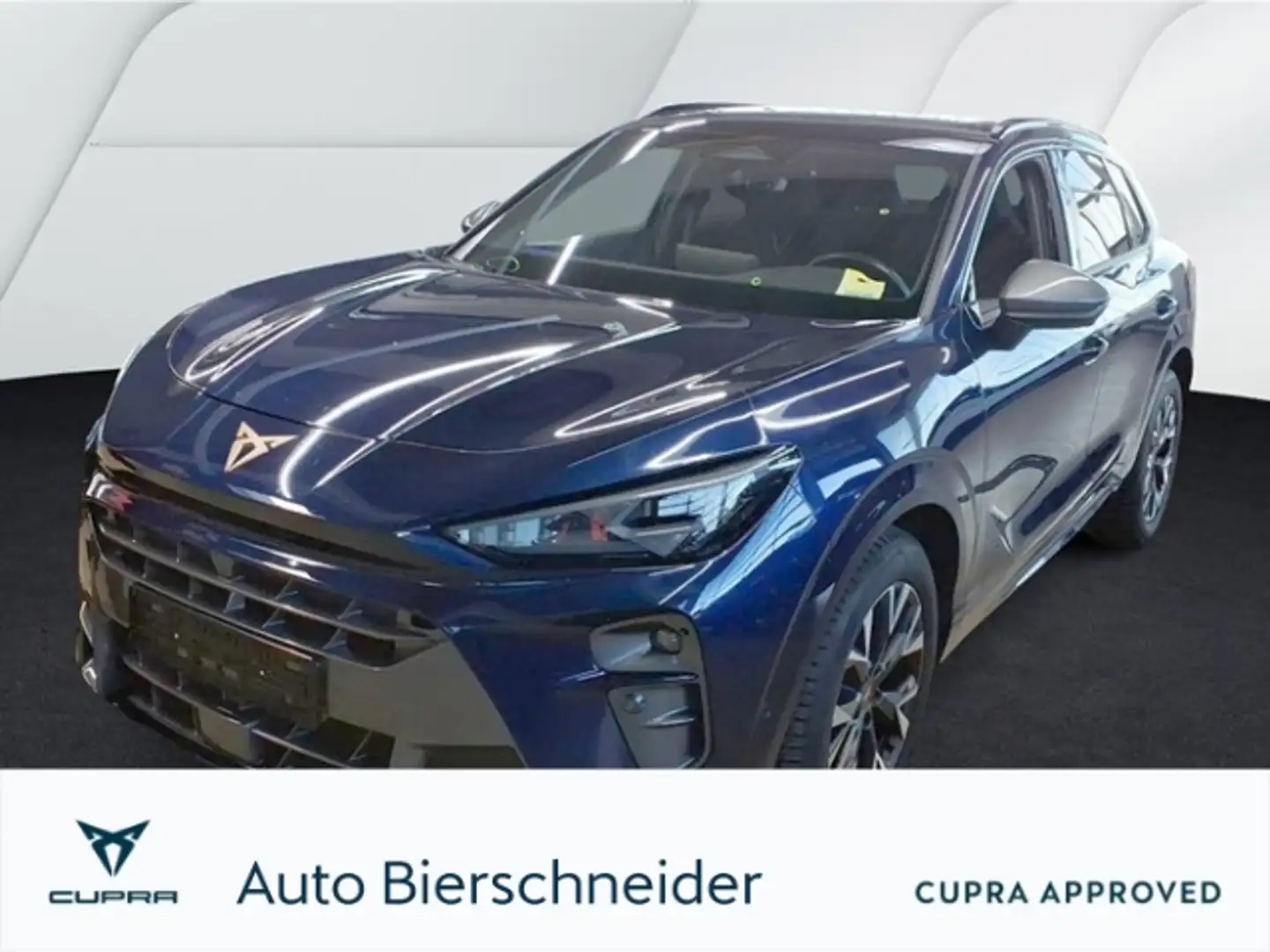 CUPRA Terramar 1.5 eTSI DSG NAVI 360 HuD SHZ ALLWETTER Blau - 1
