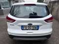 Ford Kuga 2.0 TDCi 150CV Titanium 4WD*EURO6*CERCHI - thumbnail 5