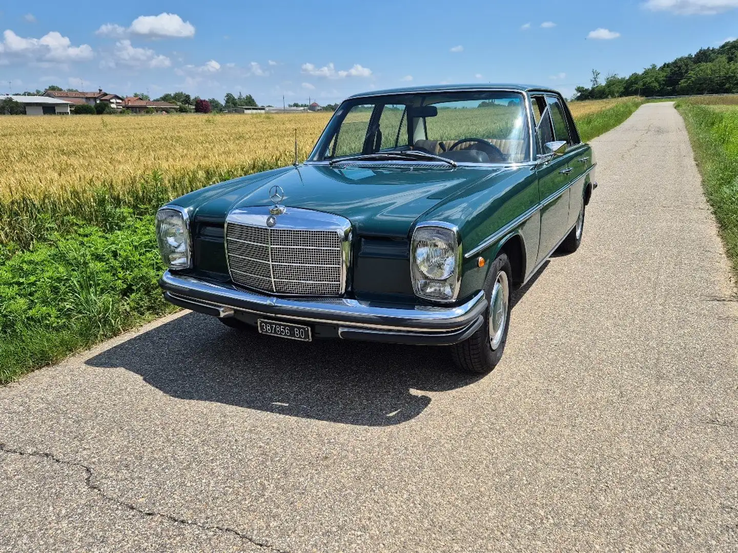 Mercedes-Benz 220 Vert - 1