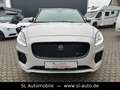Jaguar E-Pace E-PACE R-Dynamic S AWD Grau - thumbnail 12