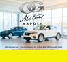 DS Automobiles Sonstige - thumbnail 23