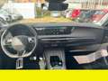 DS Automobiles Sonstige - thumbnail 15