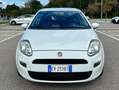 Fiat Punto Punto III 2012 5p 1.3 mjt II 16v Lounge 75cv my13 Blanc - thumbnail 1