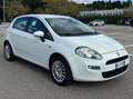 Fiat Punto Punto III 2012 5p 1.3 mjt II 16v Lounge 75cv my13 Blanc - thumbnail 4